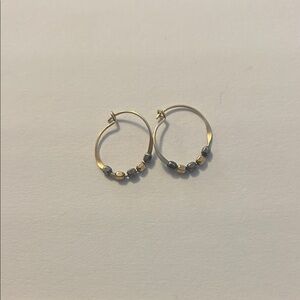 Elegant Gold and Silver Hoop Earrings
